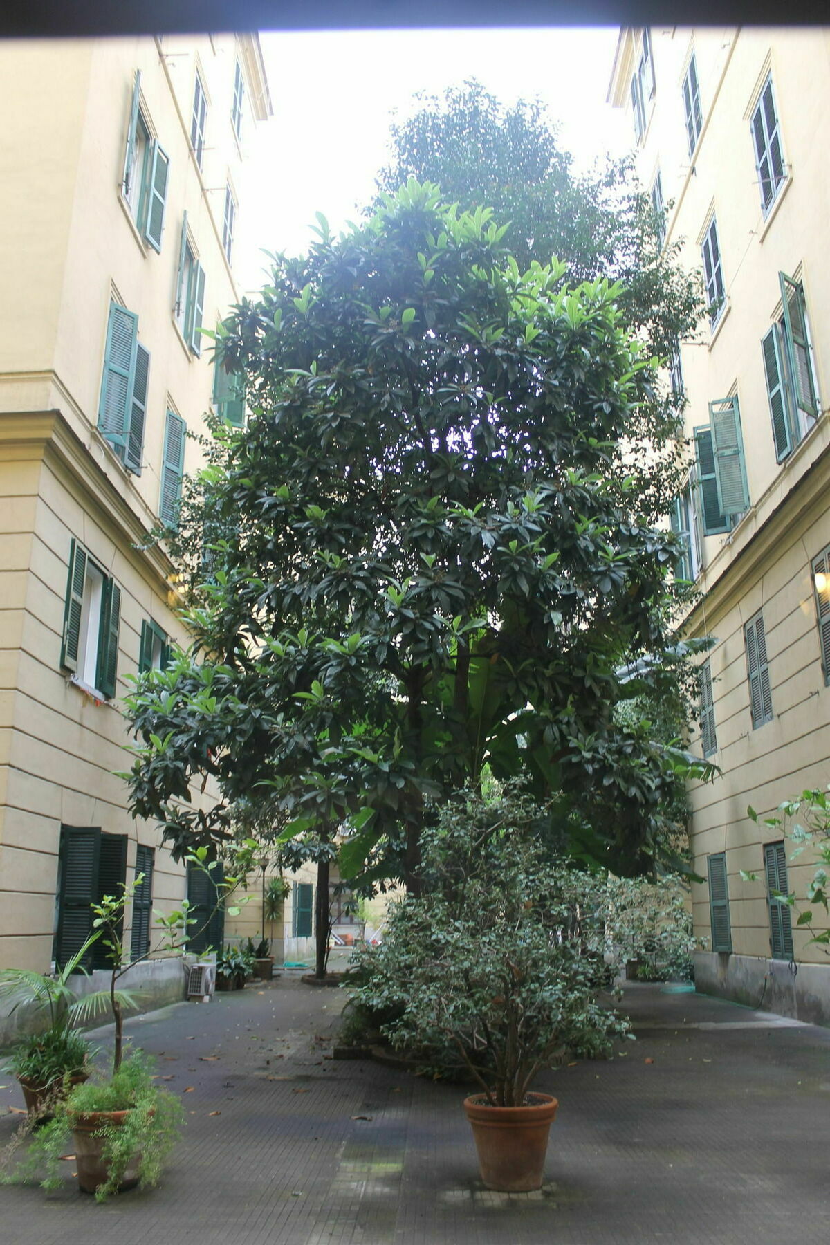 Rovati Guesthouse Rom Exterior foto